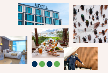 Giải pháp côn trùng cho khách sạn, nhà nghỉ