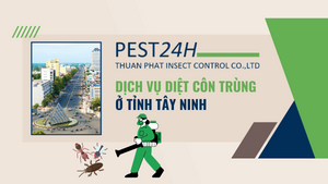 Dịch vụ diệt côn trùng ở tỉnh Tây Ninh