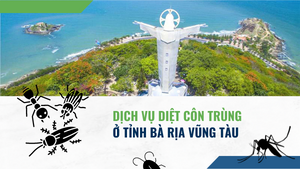 Dịch vụ diệt côn trùng ở tỉnh Bà Rịa – Vũng Tàu